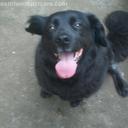 Nancy Bey - @nlminma - Twitter