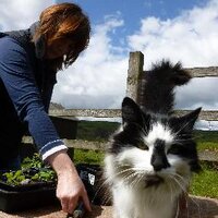 Helen Brougham 💙💛🙏🕊️ (@badger1813) 's Twitter Profile