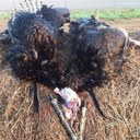 Heath Luna - @heath_luna - Twitter