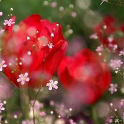 Tessa64's profile picture. 