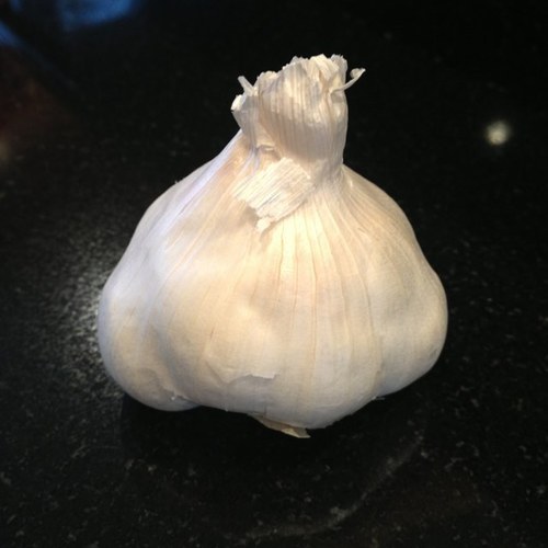 tmkubista's profile picture. 