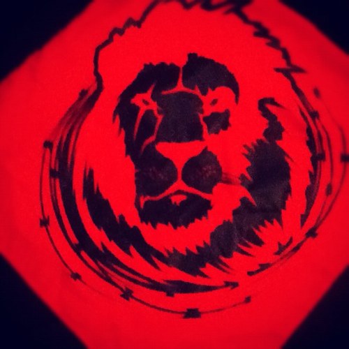 D_Sesto's profile picture. 