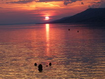 easylistner's profile picture. I need to go to bed, but not now! First i need to listen to the new album of  .........