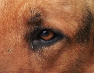 pablosanher's profile picture. 