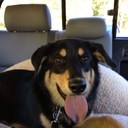 Malcolm Davidson - @DavidsonMalcolm - Twitter