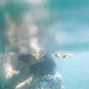 Wendy Carnegie - @wendycarnegie - Twitter