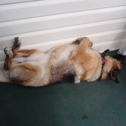 rustyruss57's profile picture. 