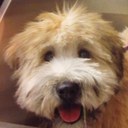 Earl Radke - @eyoudaman - Twitter