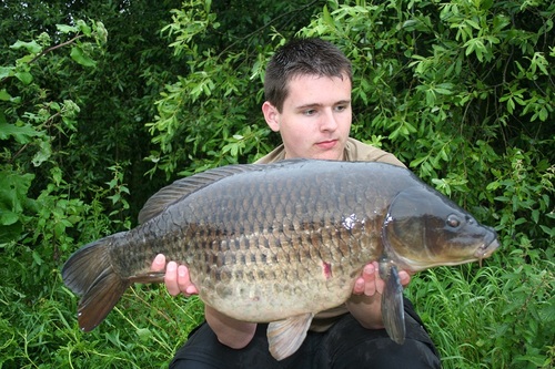 Jamieh952's profile picture. 