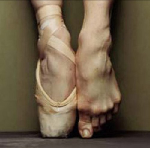 anonymousballet's profile picture. 