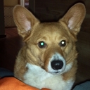 Jessie eckert - @jessie_eckert - Twitter