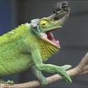 cesar adame salome - @cesaradamesalom - Twitter