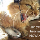 David Hussey - @mandalius - Twitter