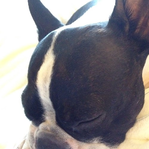 Stephanie Lecza Profile