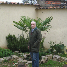 Ingeniero Civil