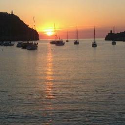 alexsoller10's profile picture. 