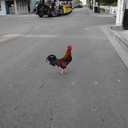 Audrey Holley - @Augie1971 - Twitter