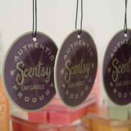 Scentsy is an amazing product wickless safe cande that leaves your entire house smeling amazing. ORDER TODAY!
https://t.co/tRduEcjwIO
