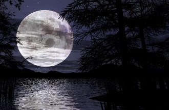 Esquejeslunares's profile picture. Agricultora especializada en la plantación de esquejes lunares.