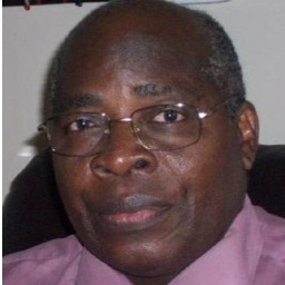 MbikiDeNanitela's profile picture. Mbiki De Nanitélamio = drapeau vert-jaune-rouge-la congolaise-Mémorial Émile Biayenda-Centre Culturel Afro-Antillais-Professeur-Directeur-politique RPR-PLQ-PLC