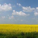 Ray Gale - @RaygGale - Twitter