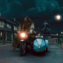 #EternalPriori 
Foro de Rol basado en el mundo de J.K Rowling #HarryPotter. Intento de unificación fallido de foros. Lugar de cotilleos y rol activo.