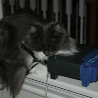 SecurityCatnip (@securitycatnip) 's Twitter Profile Photo SecurityCatnip (@securitycatnip) 's Twitter Profile Photo