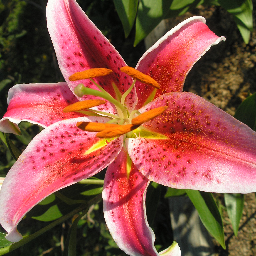 joyekralovec's profile picture. I’m an elementary school librarian, co-founder of @megansboomsforbabies. I love Auburn!!!