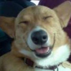 O_Luciano_O Profile Picture