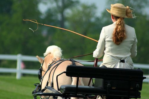 CarrieOski's profile picture. 