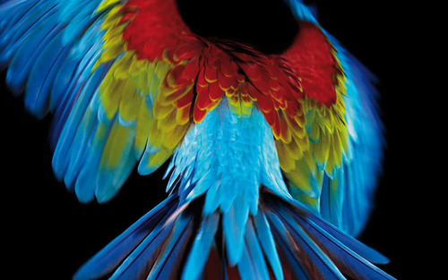 sjlKevinJewiss's profile picture. 