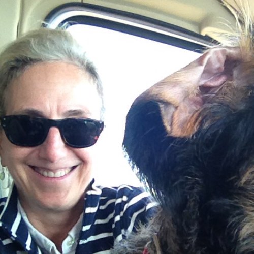 RebeccaHilLewis's profile picture. 