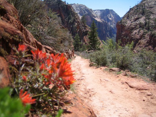 bentspokedave's profile picture. Math teacher who likes rainbows, unicorns & long walks in the park.