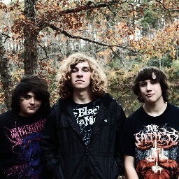 we are a technical death metal band straight out of south jersey, inspired by BOO, CG, the HAARP machine, MMI, and many more. check us out on Facebook!
