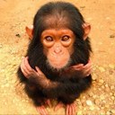 Gilberto Monzon - @Gilbert_monz - Twitter