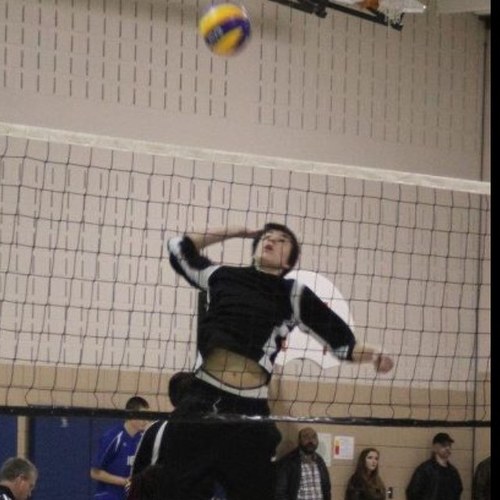 ShaneBeausoleil's profile picture. 