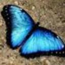 Wakeelah Muhammad - @Wamu1976 - Twitter