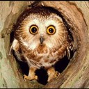 Leah  - @leah_ayers - Twitter