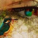 Corrine Bryant - @corrine47 - Twitter