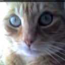 Claudette Nelson - @canelson5655 - Twitter