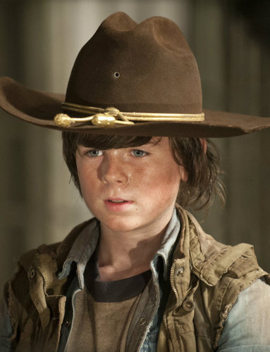 I am not the real Carl Grimes (hence the word fake) or Chandler Riggs. I am not tied to the walking dead in any way.