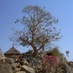 Fabrizio Andreuzzi (@fa7306) Twitter profile photo