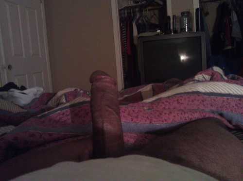 713liveTx's profile picture. 