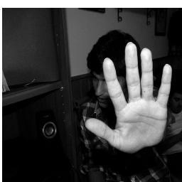 MrInsua's profile picture. Soy Batman.