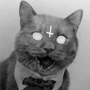 Marco Wolf BlakVomit - @MarcoWolf13 - Twitter