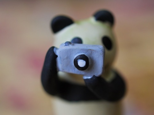パンダ🐼をこよなく愛する 音楽とゲーム好き ELLEGARDEN/the HIATUS/MONOEYES/ ストレイテナー /SUPER BEAVER/3ns/koe 🎲
