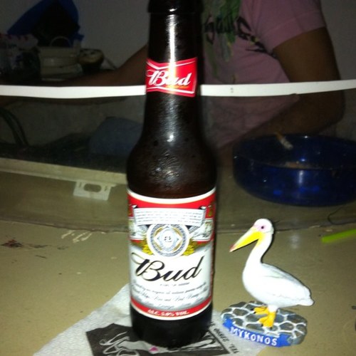 kannhowe's profile picture. 