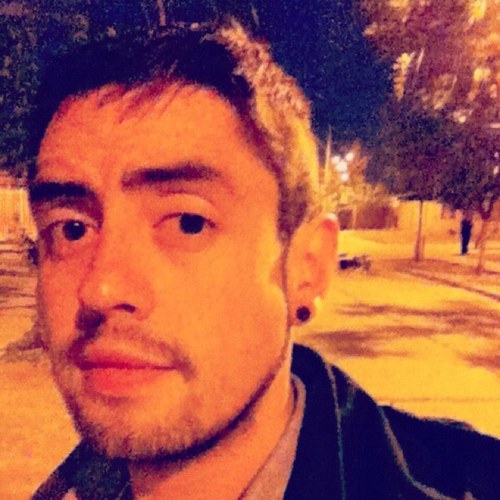 Diseñador Web