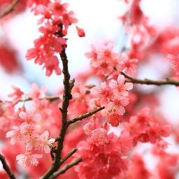 전경린 작가의 문장을 옮기는 봇입니다. :)