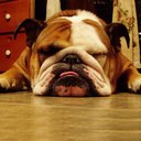 Elton Johnson - @280zfreek - Twitter